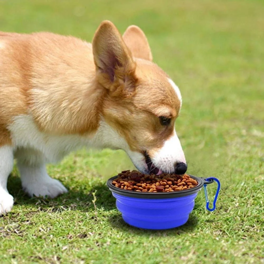 2 Pack Collapsible Dog Bowls‎ Portable Travel Pet Water Food Dishes Blue Green